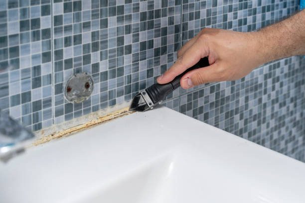 Best Commercial Mold Removal  in Freeport, FL